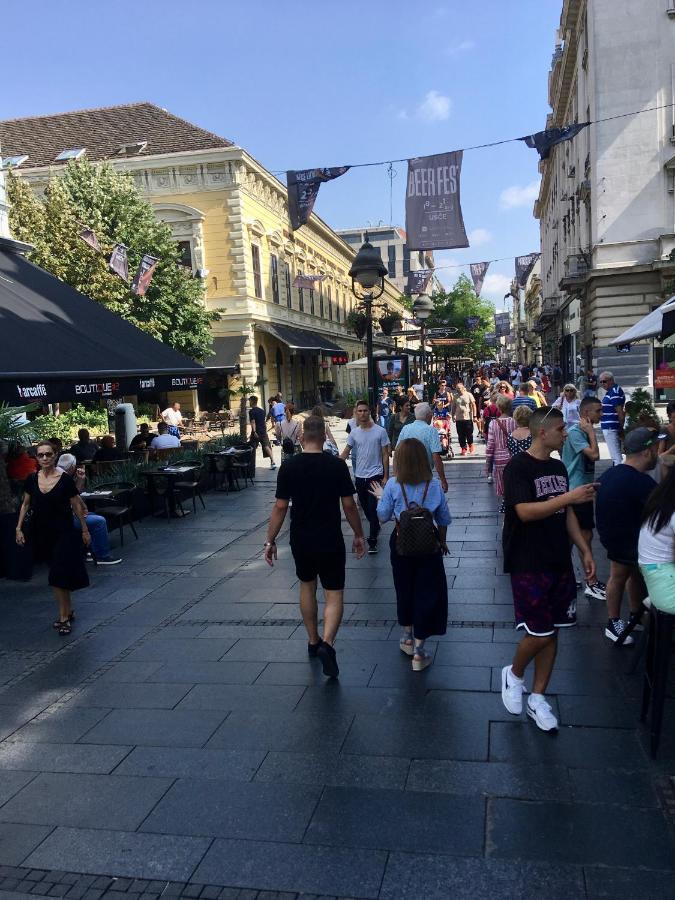 Central Location For You Beograd Ngoại thất bức ảnh